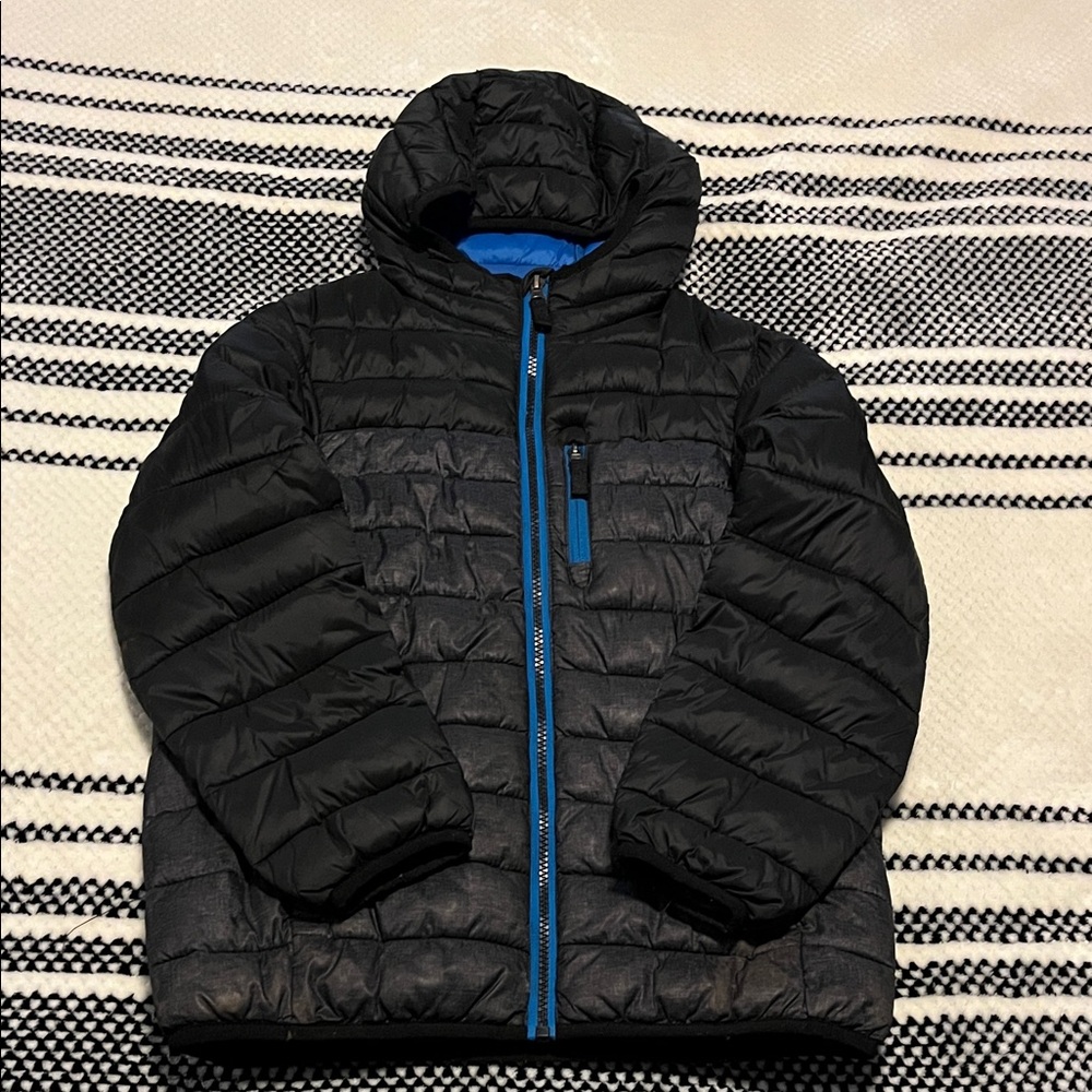 ZeroXposur Kids Puffer Jacket in Black with Blue Trim